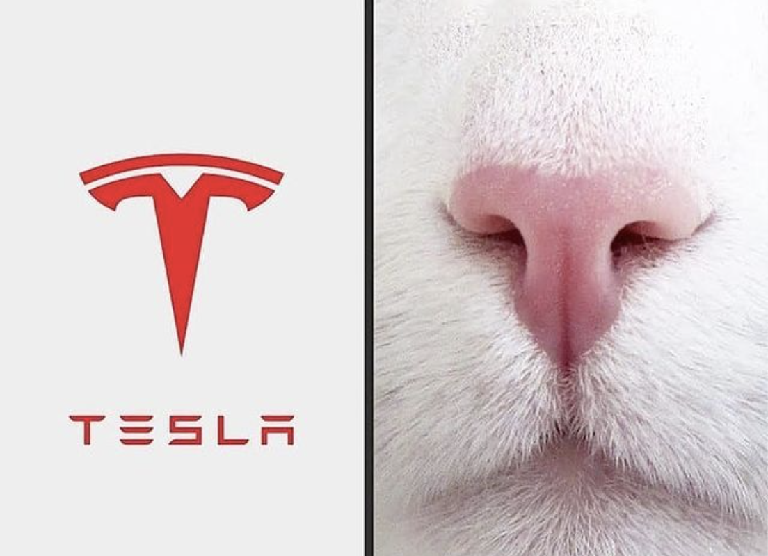 終於知道為什麼 Tesla 對我有種莫名的吸引力了！